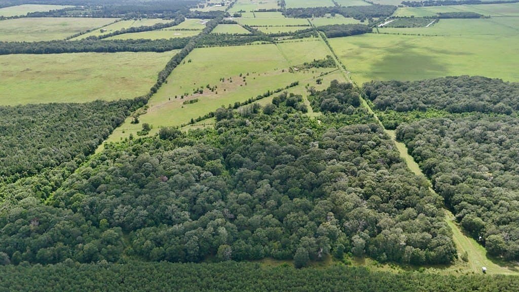 185 acres in Texas County - photo 9