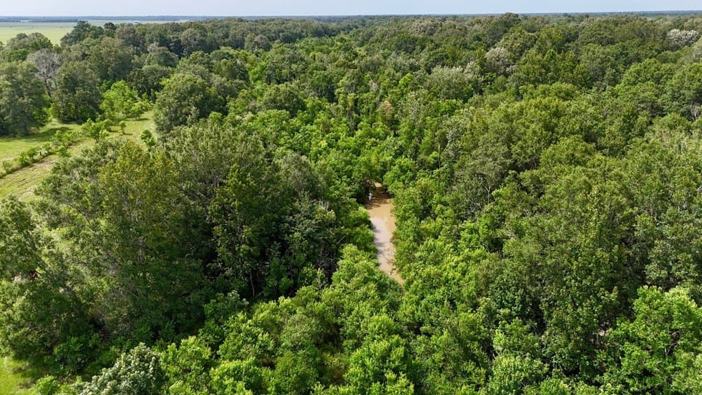 185 acres in Texas County - photo 3