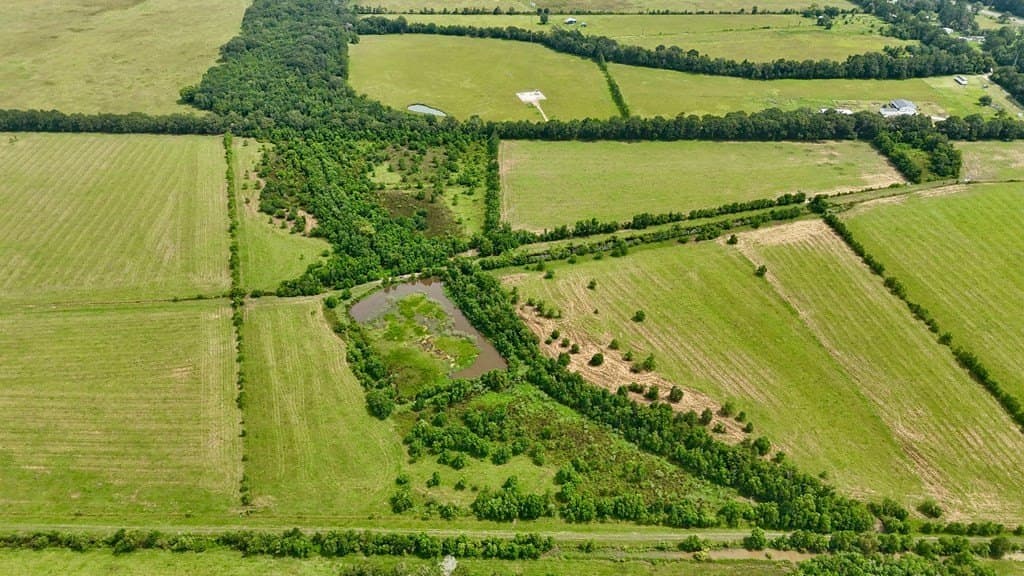 185 acres in Texas County - photo 12