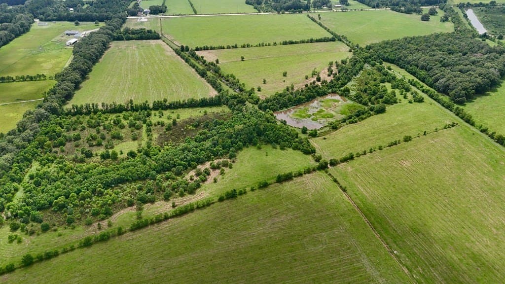 185 acres in Texas County - photo 17