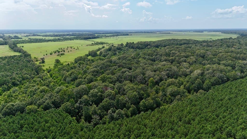 185 acres in Texas County - photo 5