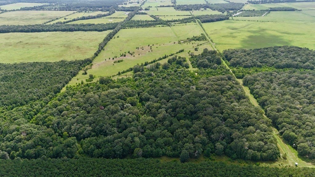 185 acres in Texas County - photo 8