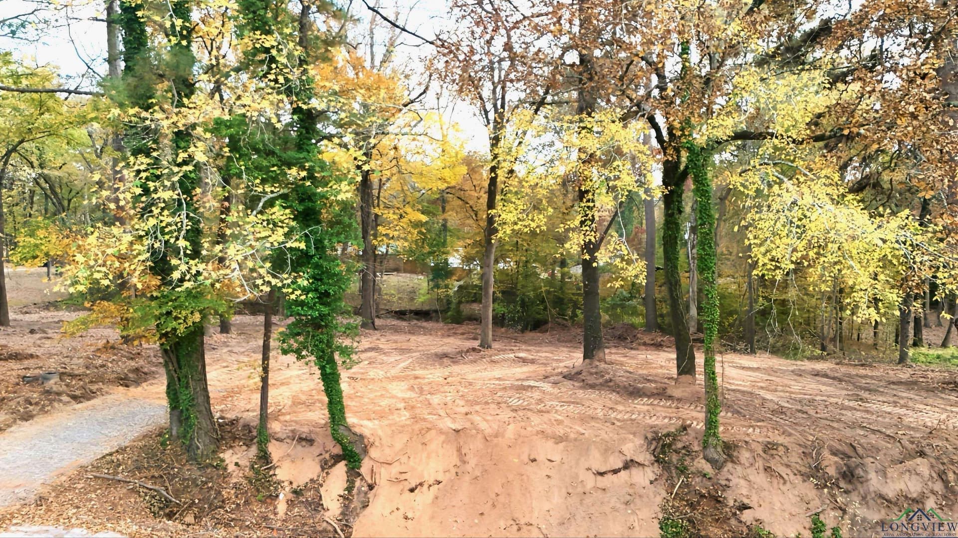 0.76 acres in Texas County - photo 8