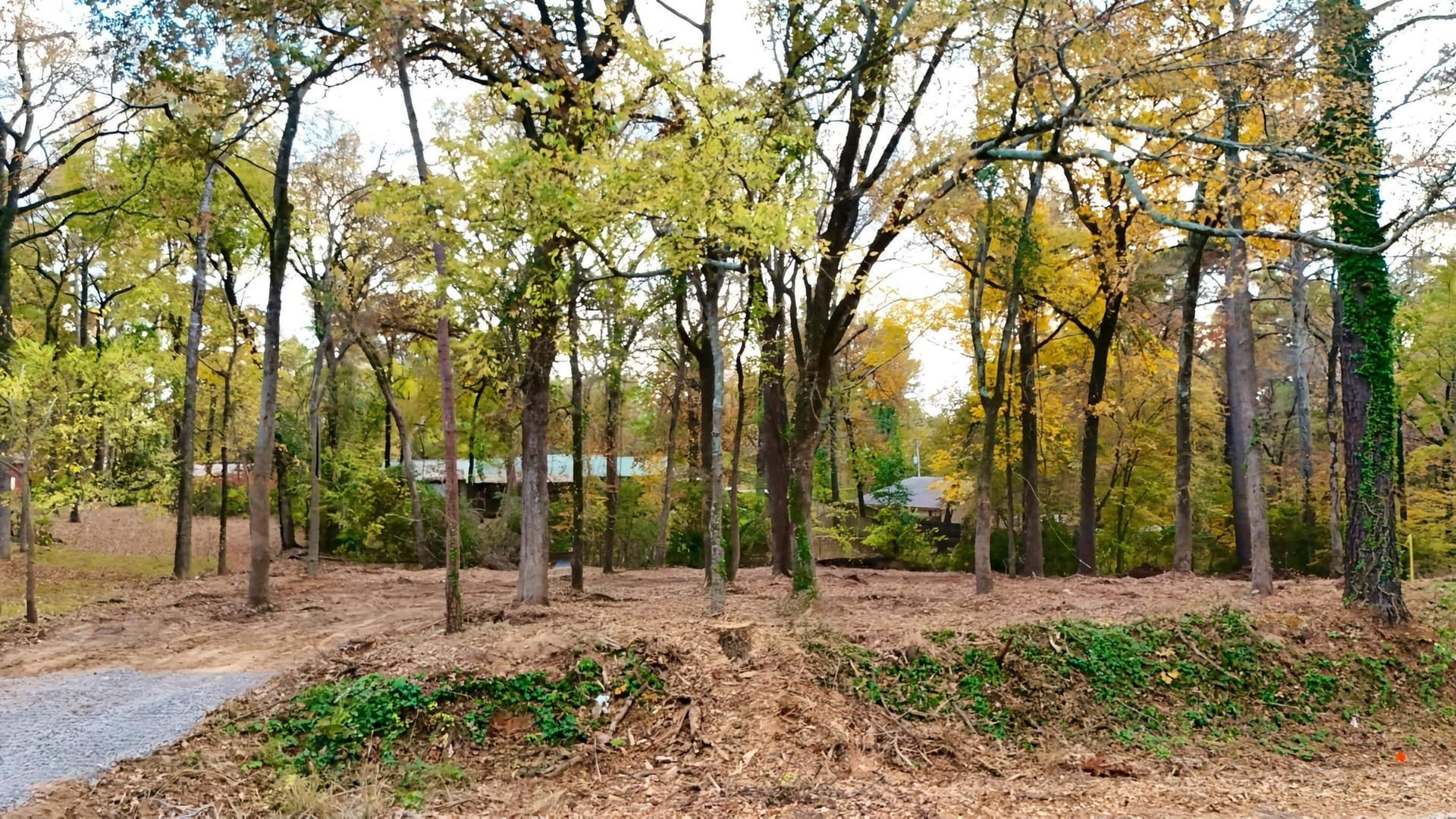 0.76 acres in Texas County - photo 3