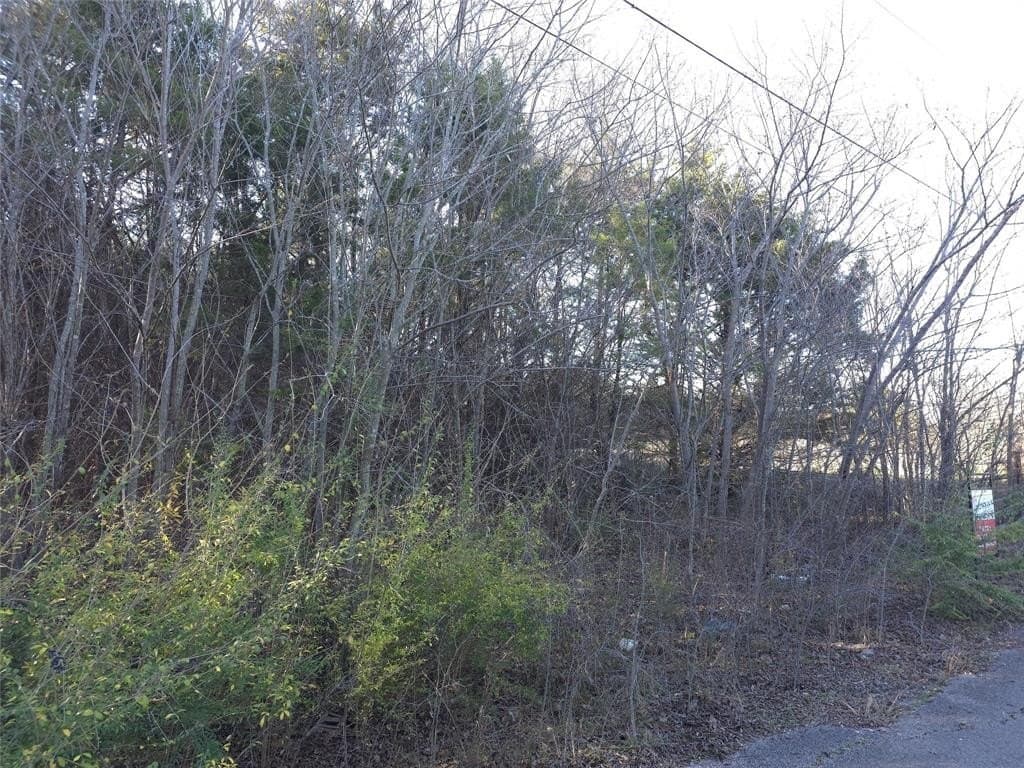 0.16 acres in Hunt County - photo 3
