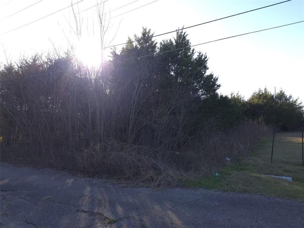 0.16 acres in Hunt County - photo 2