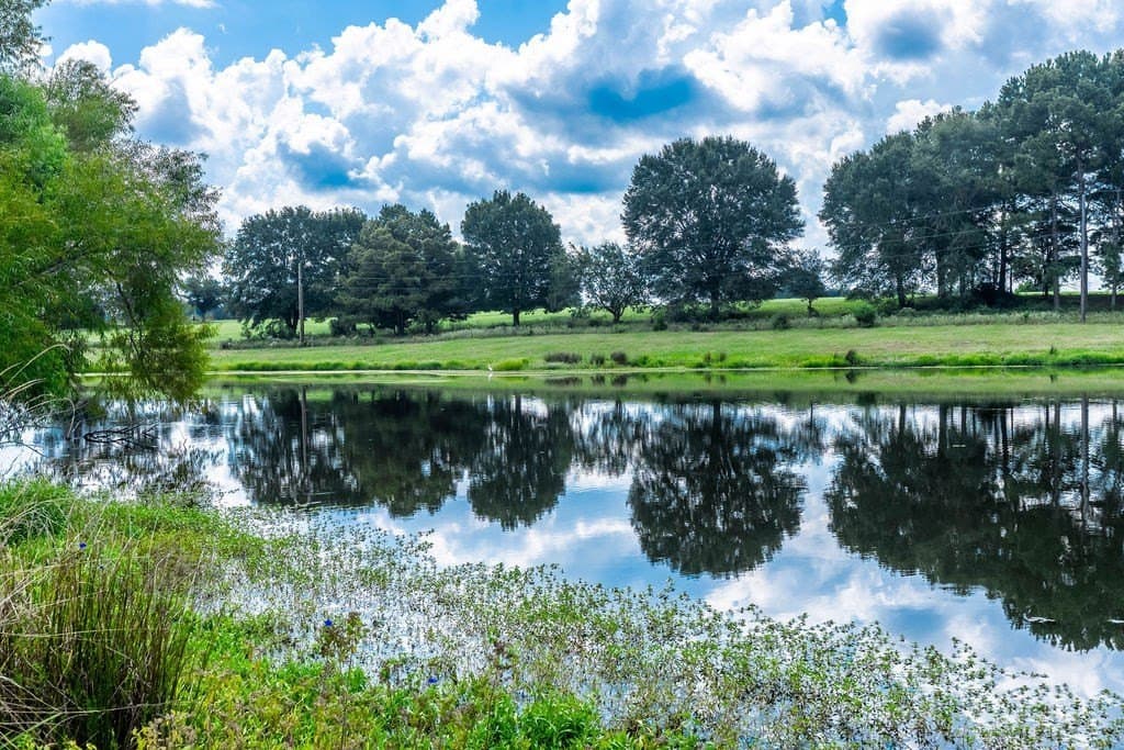 35.54 acres in ANDERSON County - photo 9