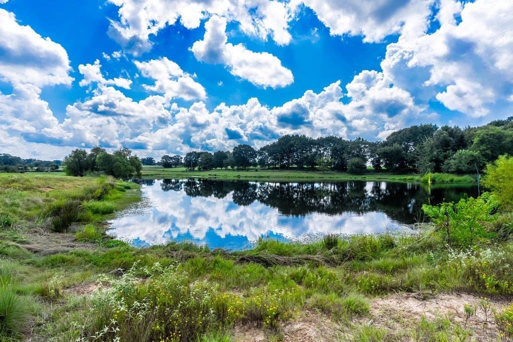 35.54 acres in ANDERSON County - photo 8
