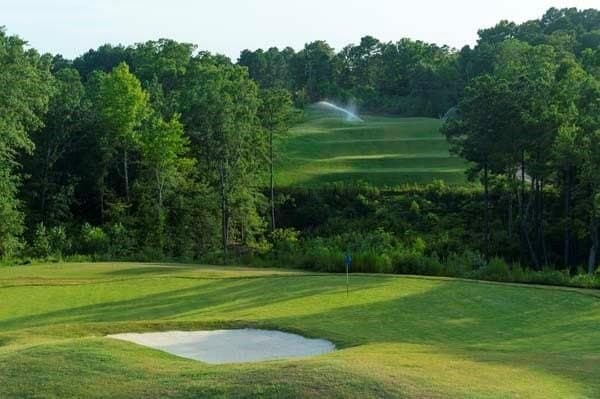 0.62 acres in Gregg County - photo 4