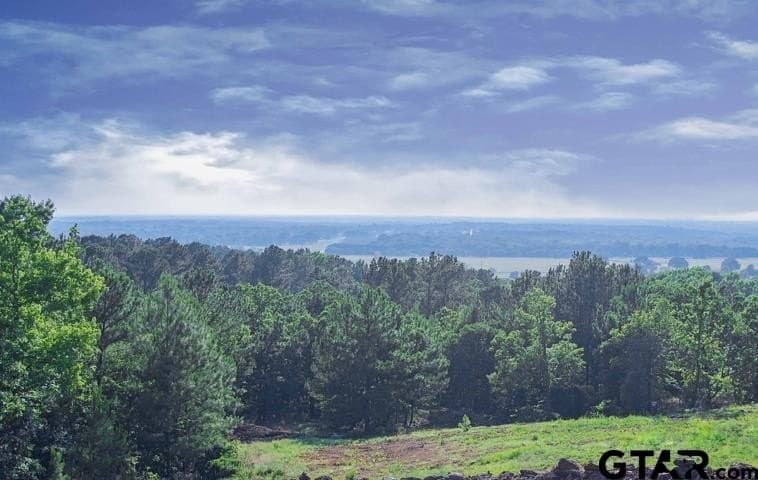 163.06 acres in Anderson County - photo 37