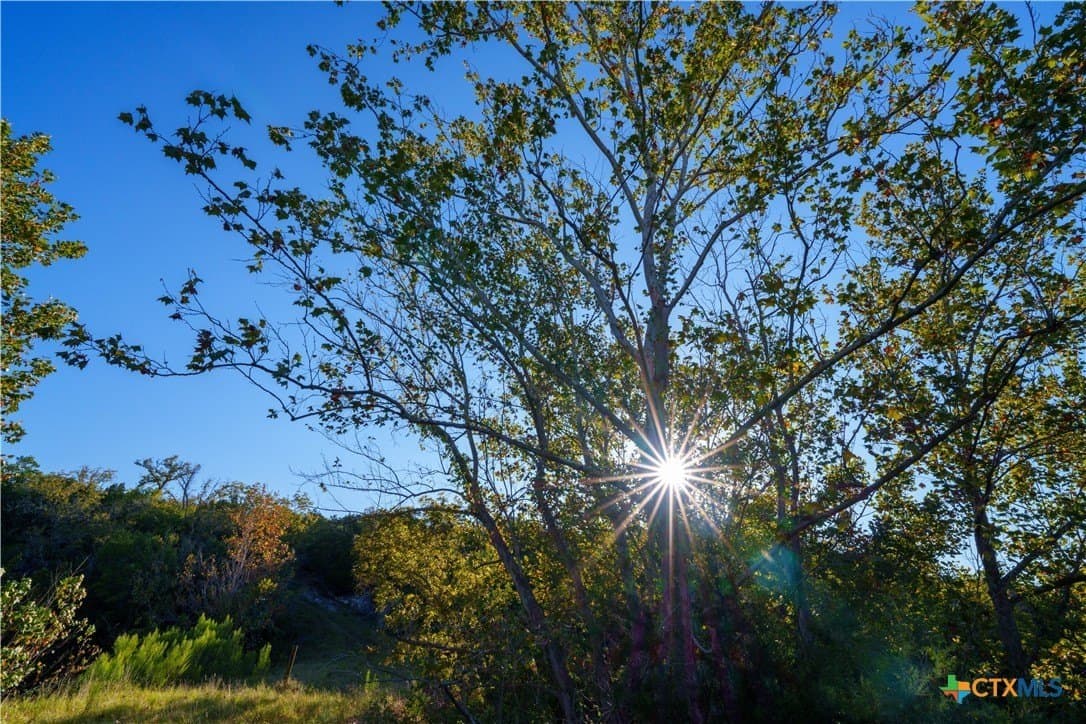 53.94 acres in Kendall County - photo 3