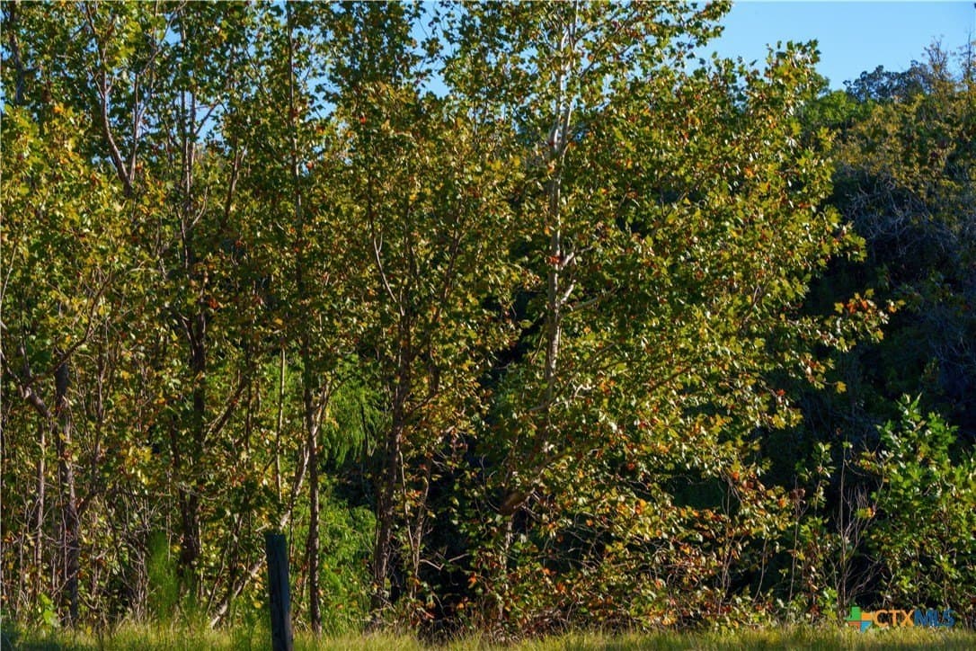 53.94 acres in Kendall County - photo 47