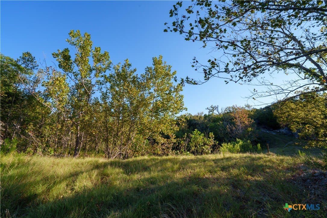 53.94 acres in Kendall County - photo 37