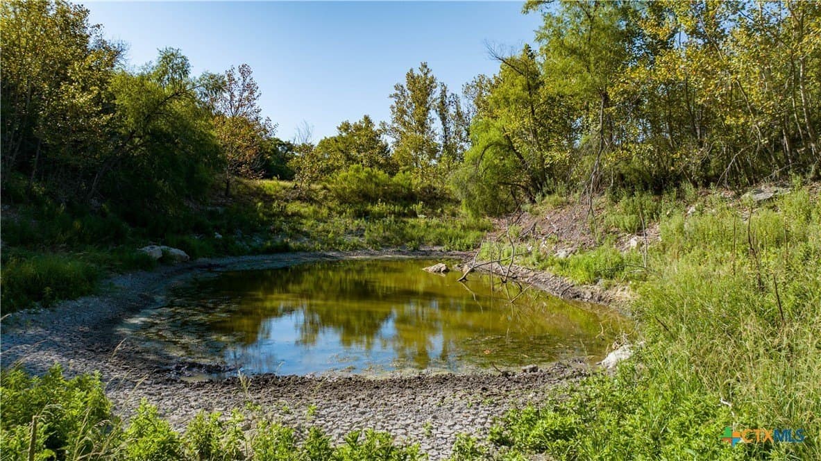 53.94 acres in Kendall County - photo 41