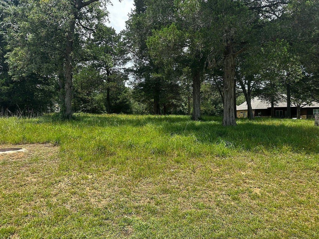 0.31 acres in Colorado County - photo 2