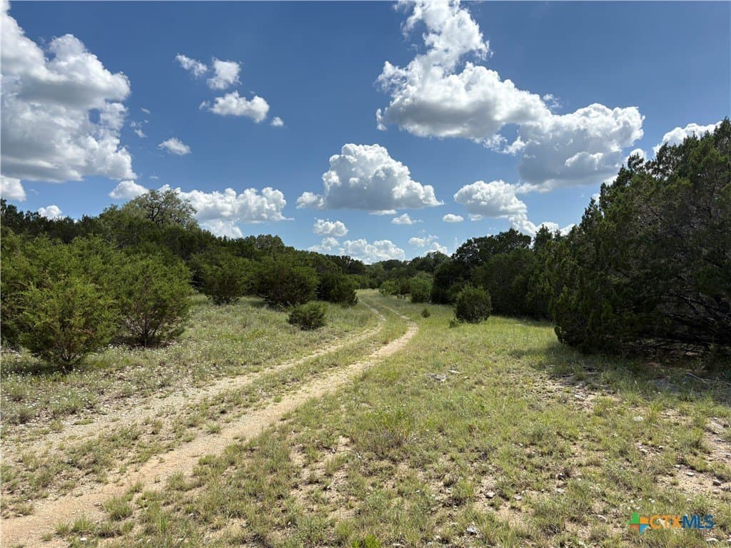 10.01 acres in Coryell County - photo 5