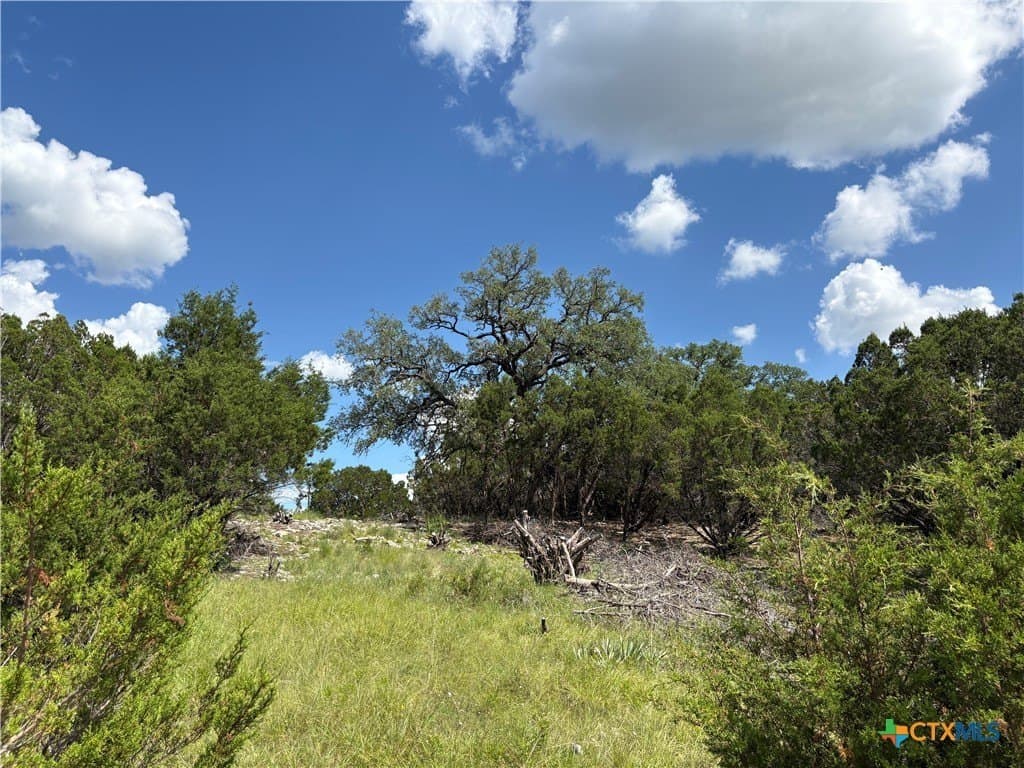 10.01 acres in Coryell County - photo 4
