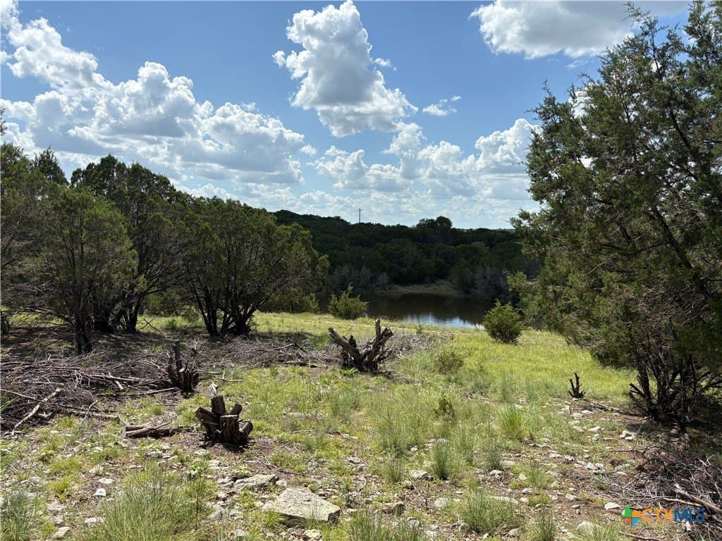10.01 acres in Coryell County - photo 2