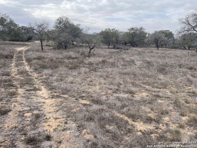 11.28 acres in Medina County - photo 8