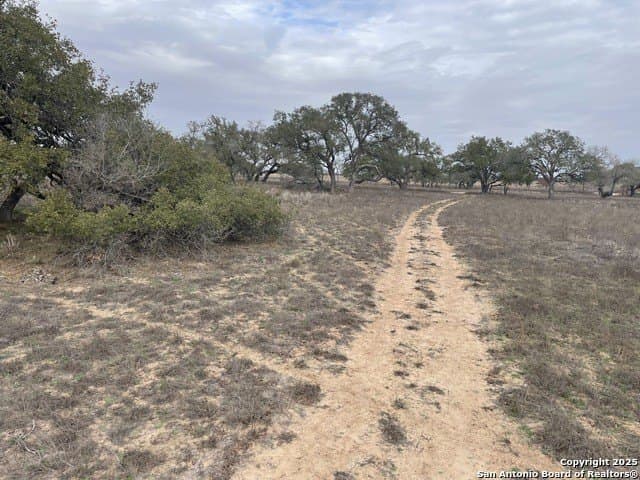 11.28 acres in Medina County - photo 6