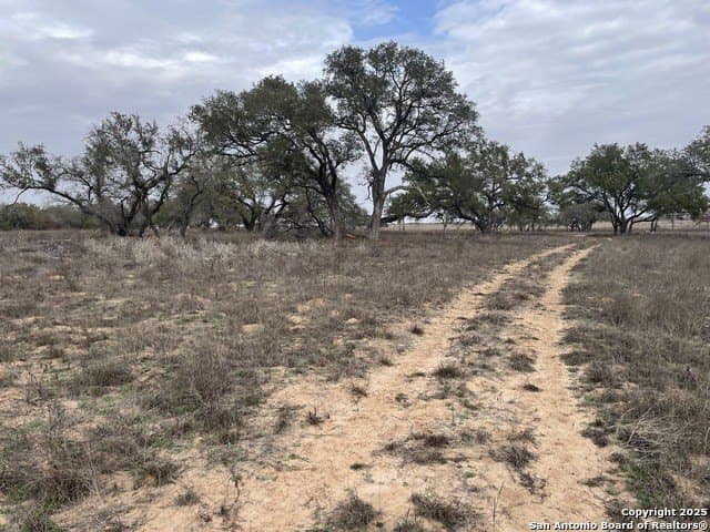 11.28 acres in Medina County - photo 5