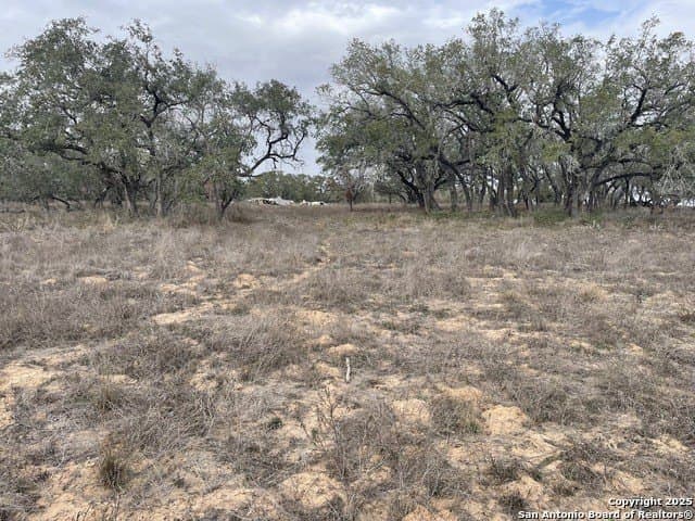 11.28 acres in Medina County - photo 9