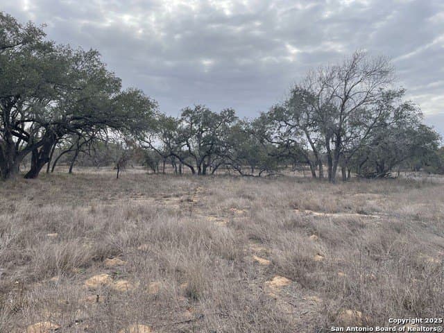 11.28 acres in Medina County - photo 4