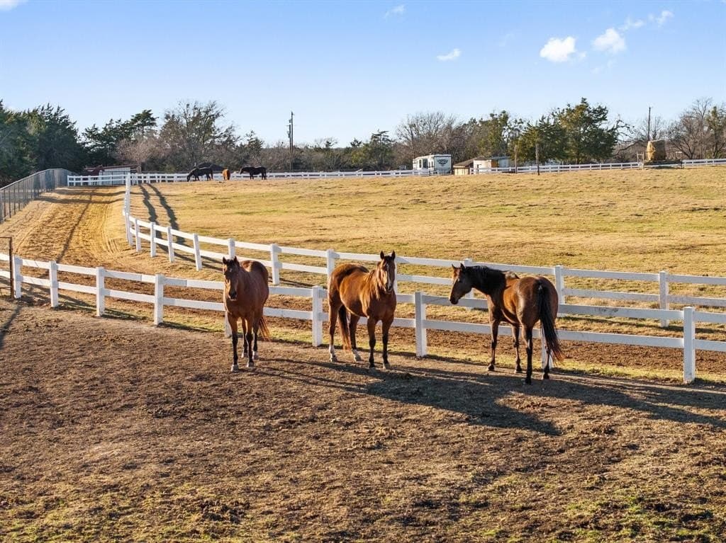 15.72 acres in Dallas County - photo 15