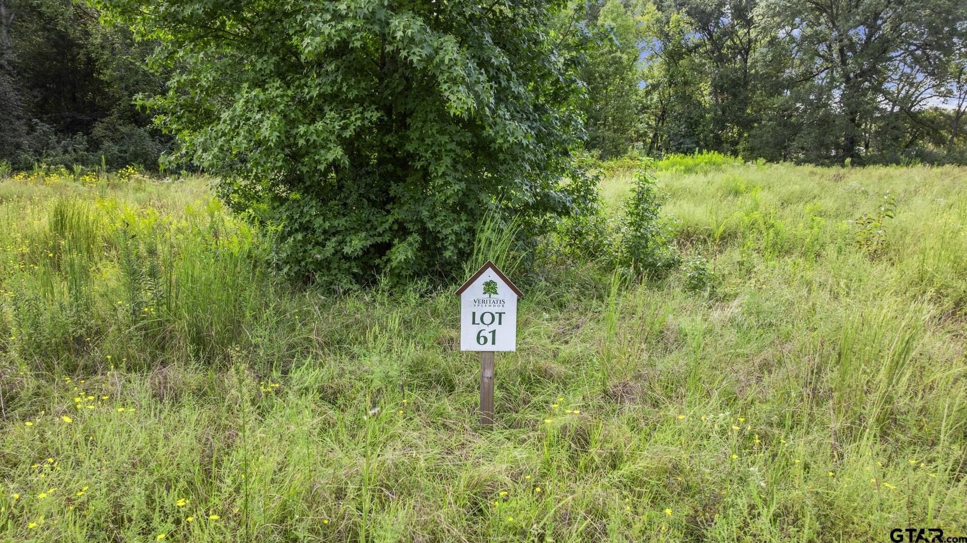 2.25 acres in Smith County - photo 2