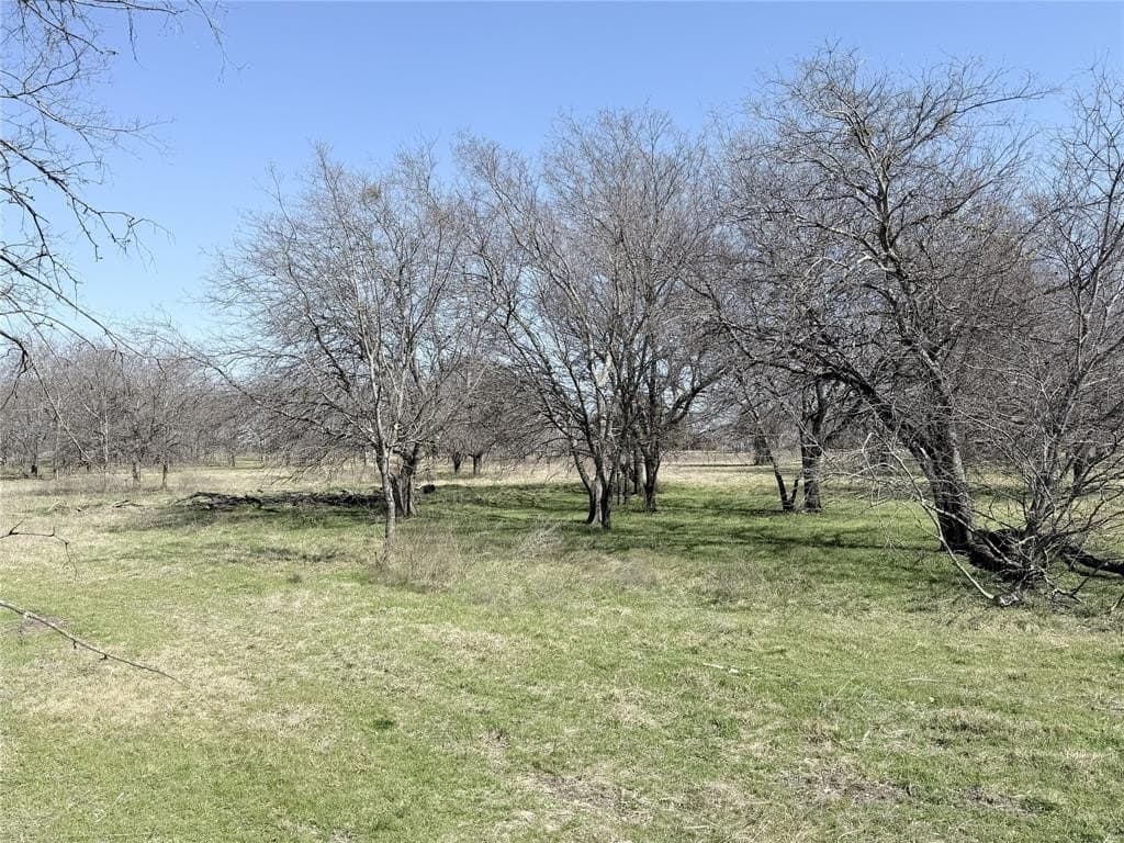 3.1 acres in Hill County - photo 5