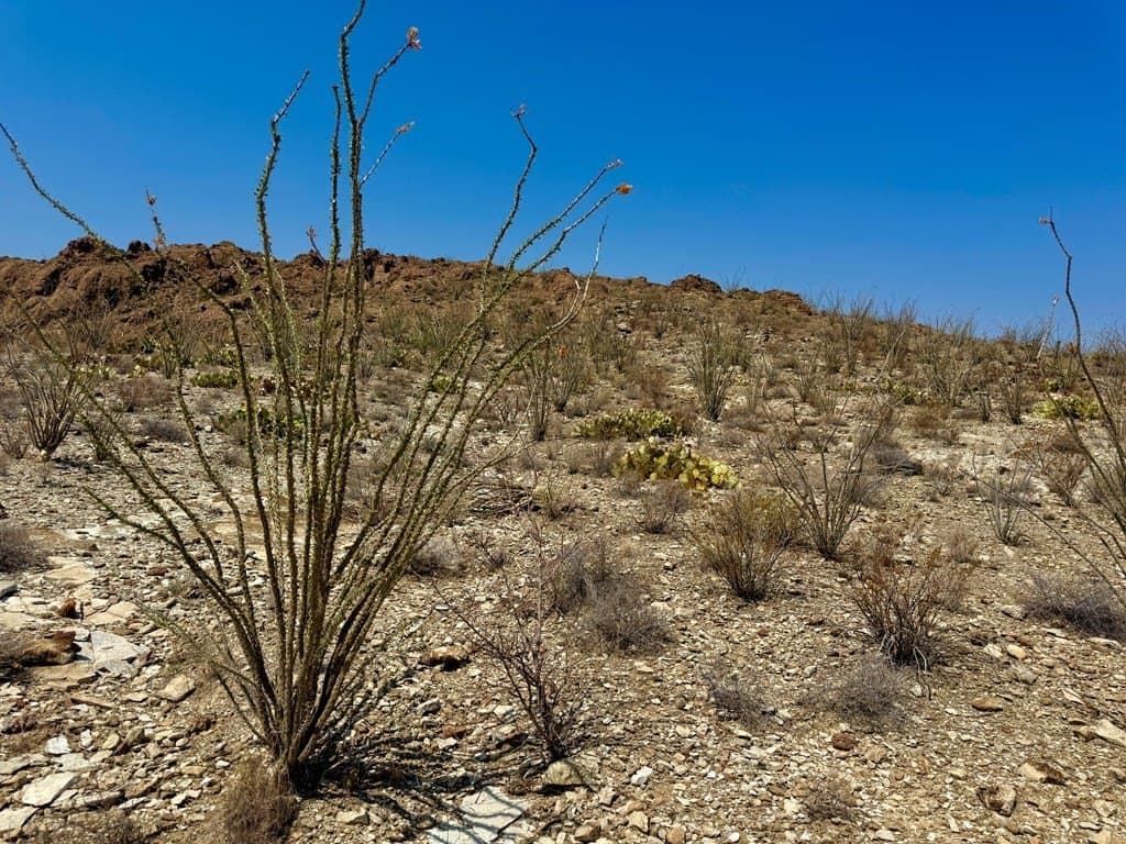 21.34 acres in Brewster County - photo 50