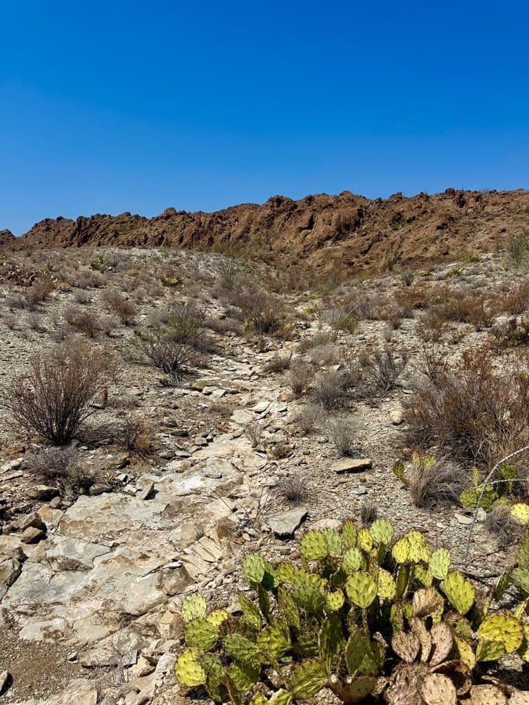 21.34 acres in Brewster County - photo 54