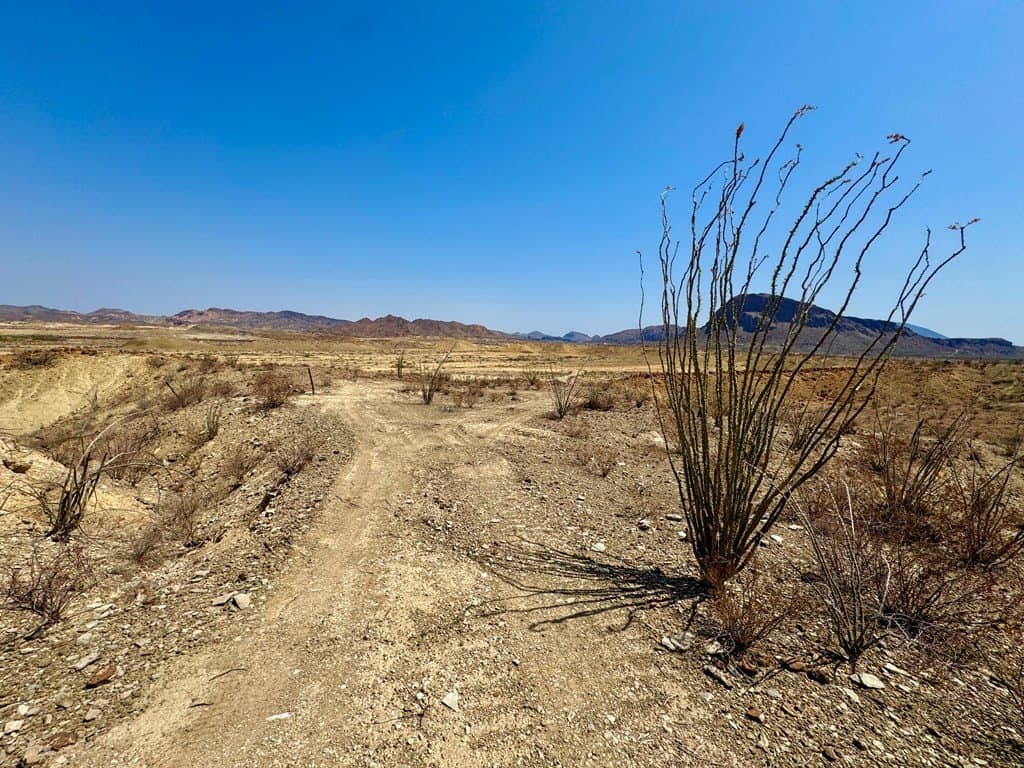 21.34 acres in Brewster County - photo 15
