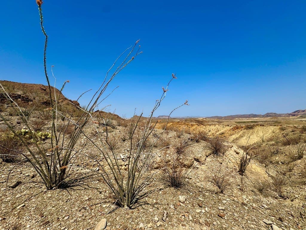 21.34 acres in Brewster County - photo 42