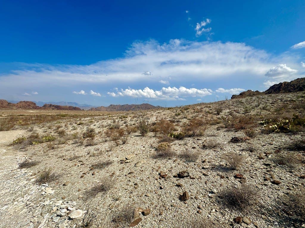 21.34 acres in Brewster County - photo 18