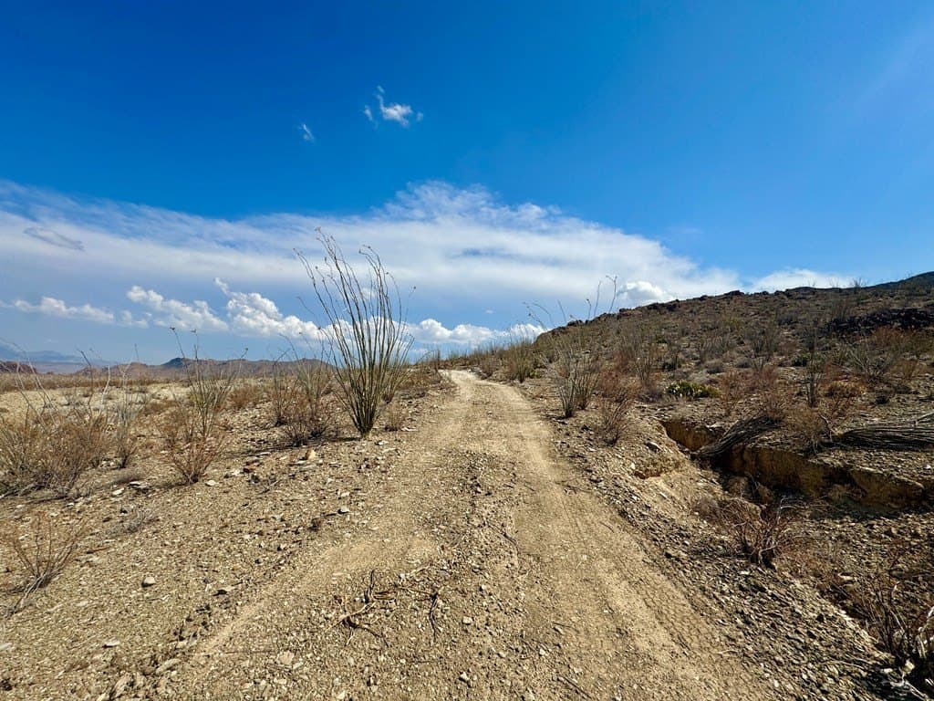 21.34 acres in Brewster County - photo 9