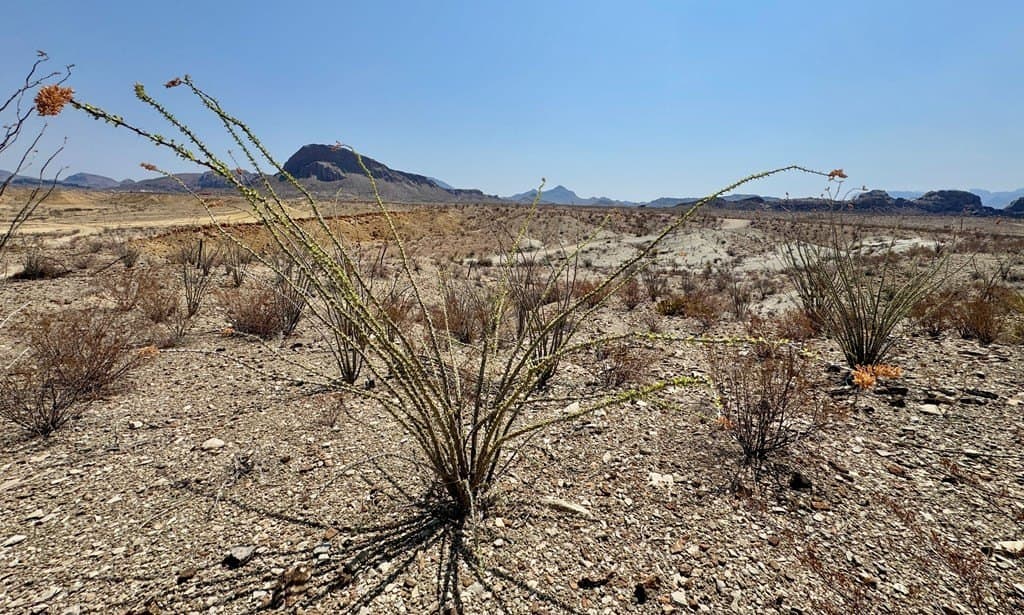 21.34 acres in Brewster County - photo 46