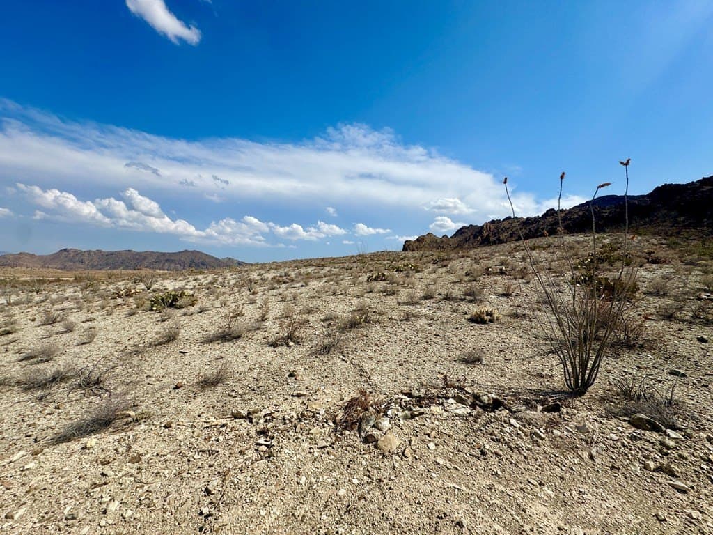 21.34 acres in Brewster County - photo 22