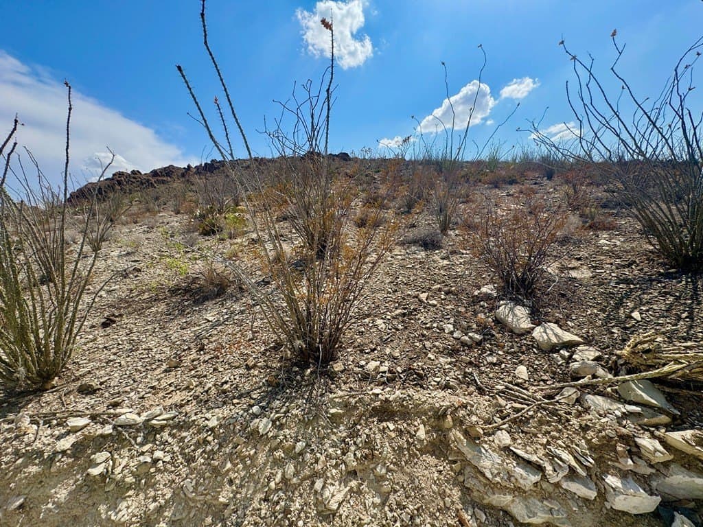 21.34 acres in Brewster County - photo 16