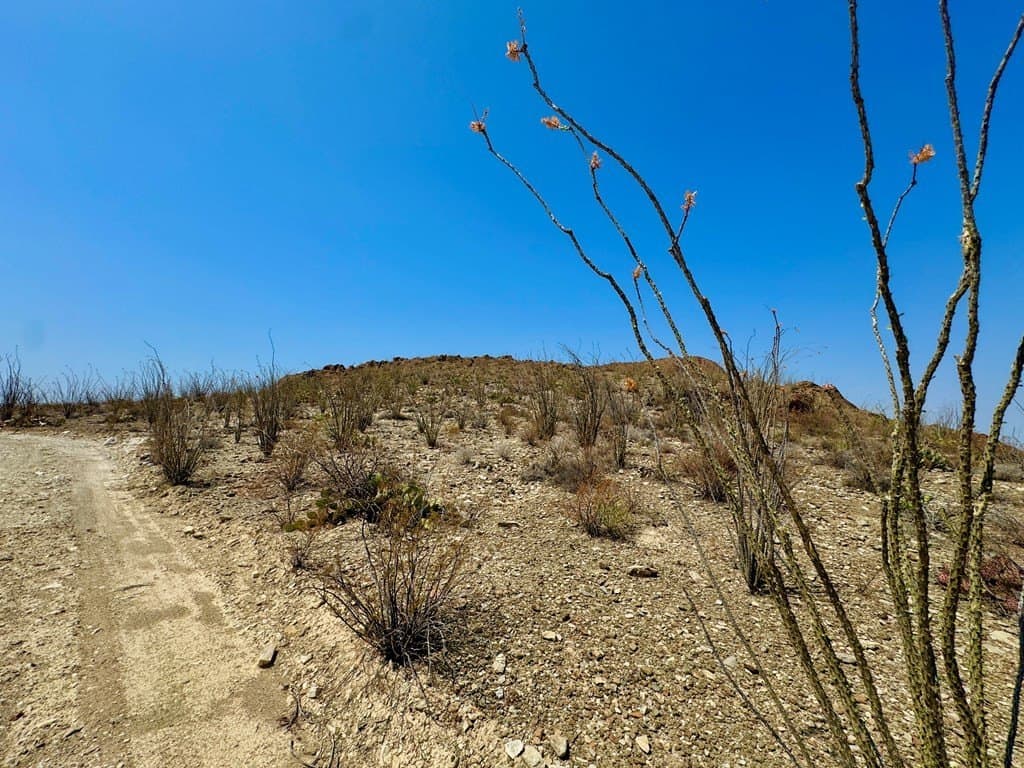 21.34 acres in Brewster County - photo 40