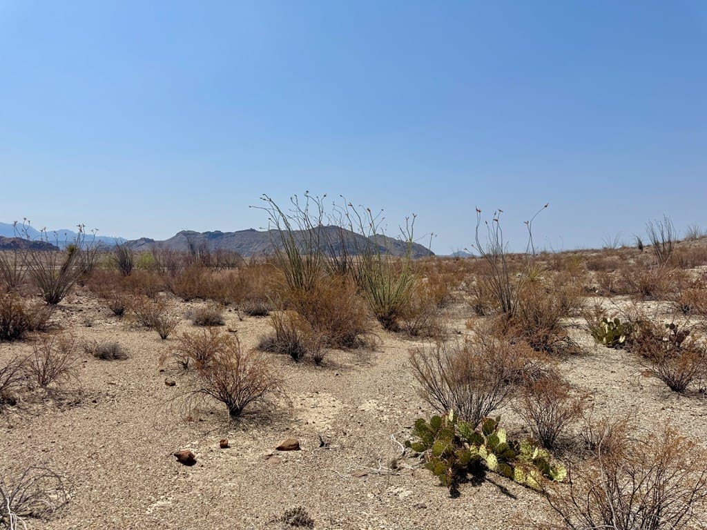 21.34 acres in Brewster County - photo 56