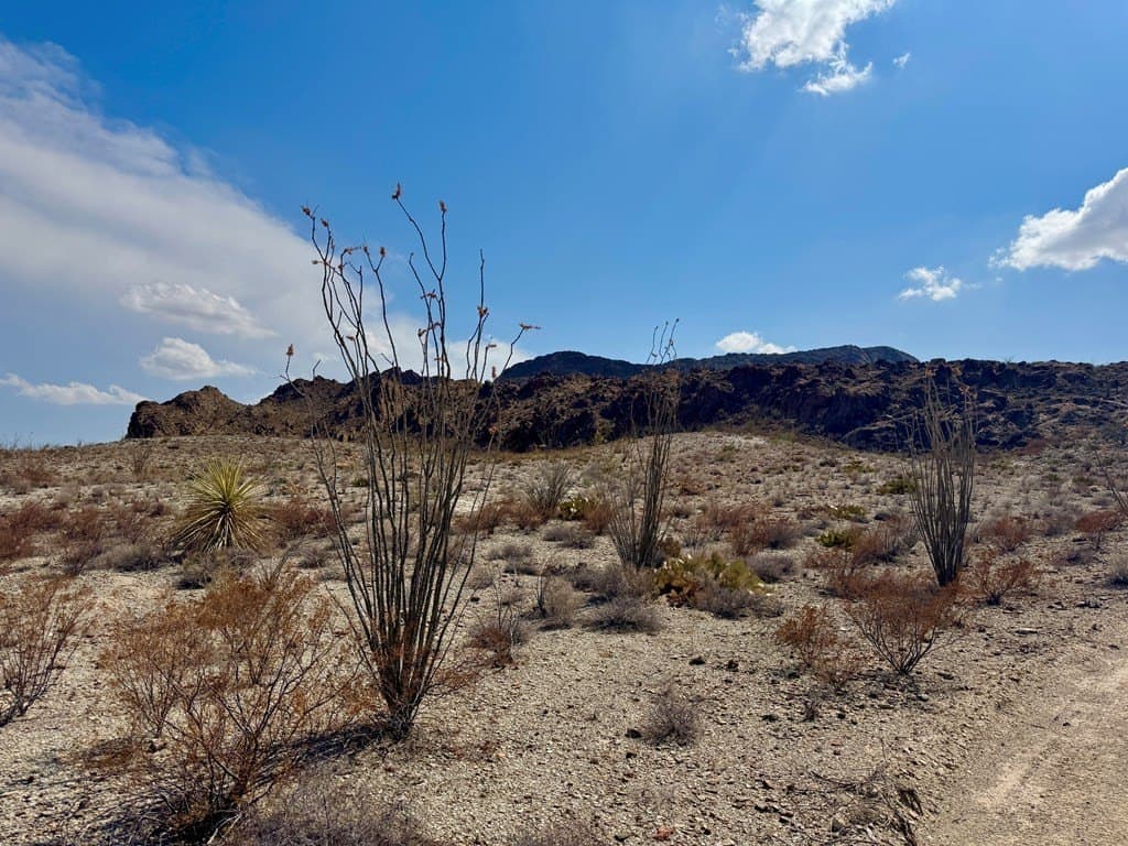 21.34 acres in Brewster County - photo 17
