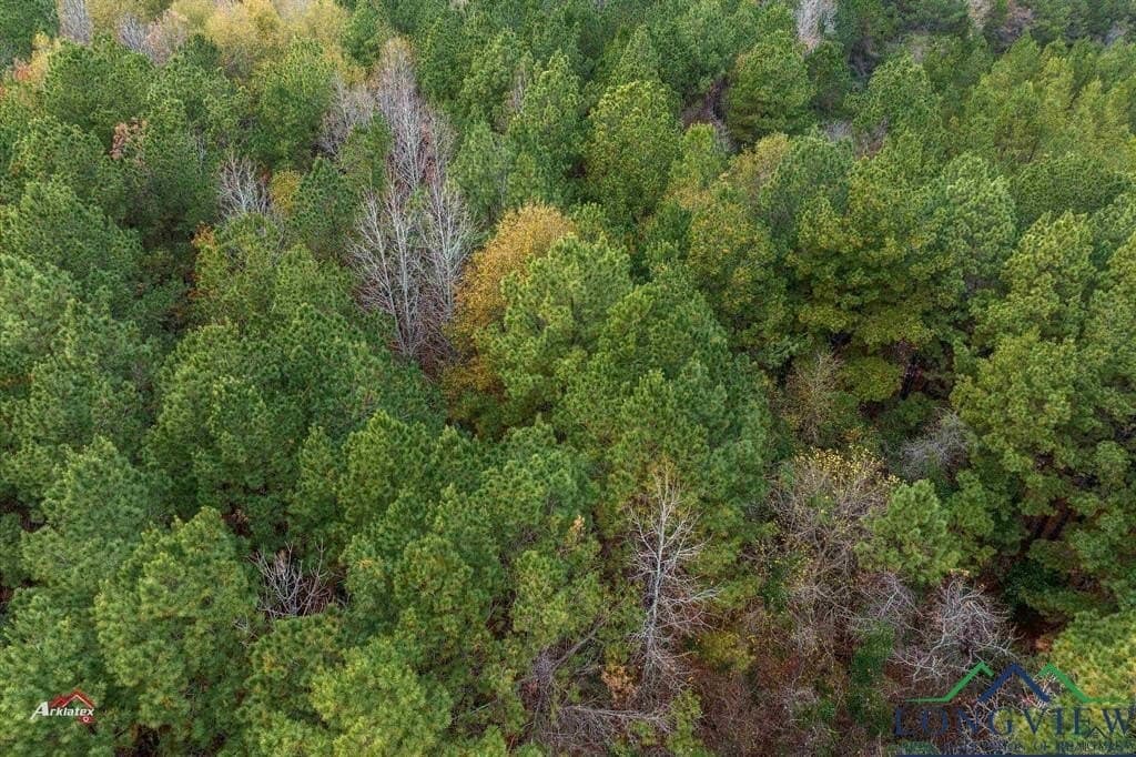 15 acres in Texas County - photo 5