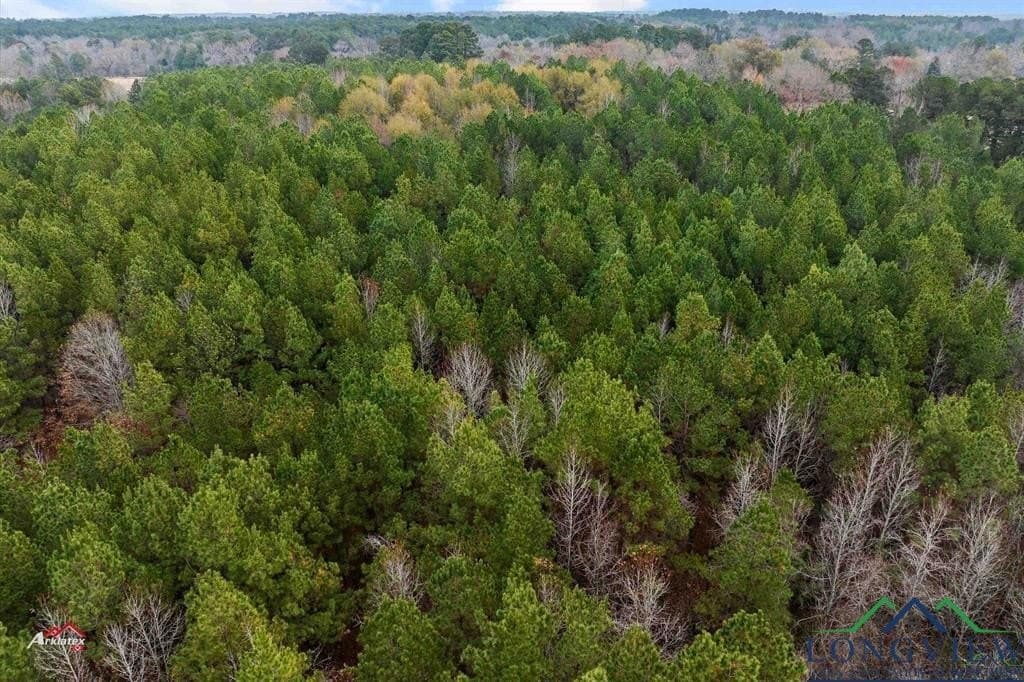 15 acres in Texas County - photo 4