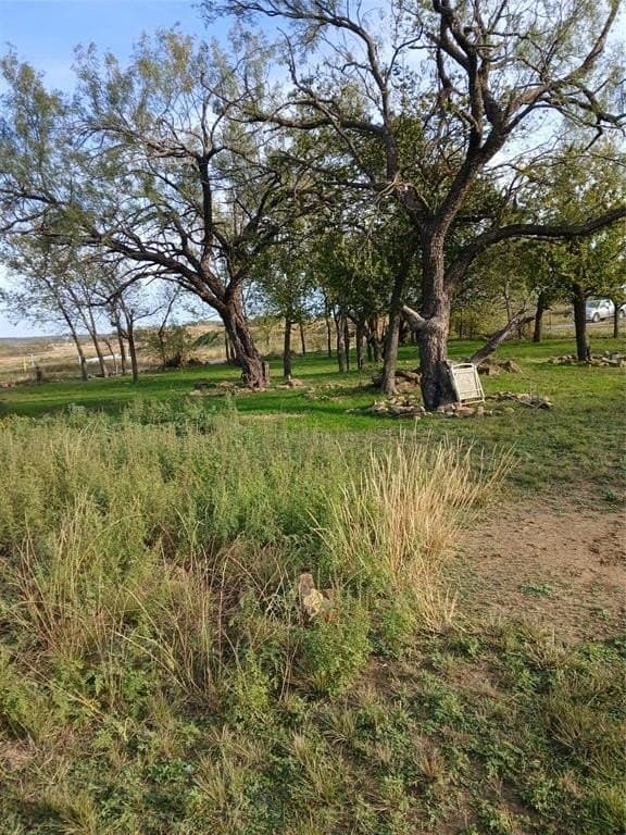 0.54 acres in Coleman County - photo 3