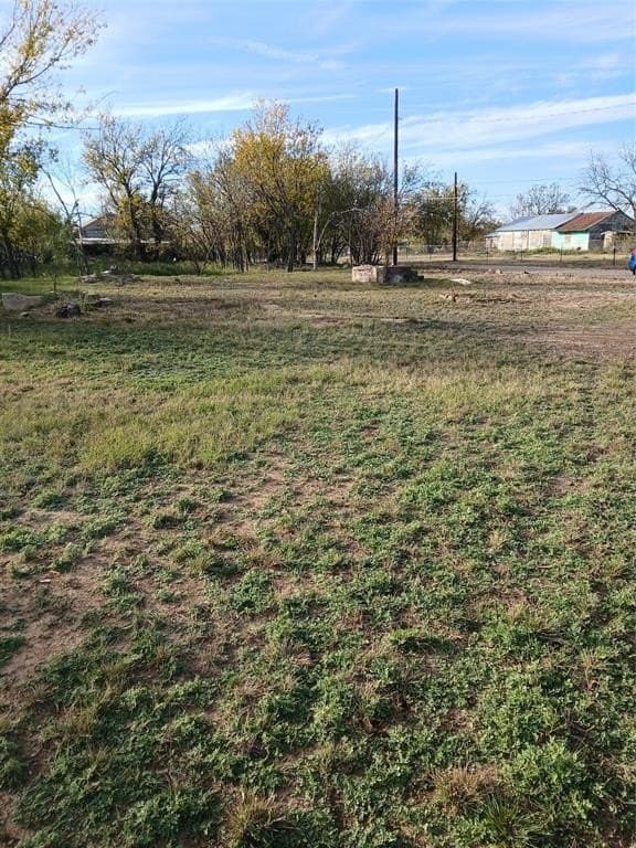 0.54 acres in Coleman County - photo 2