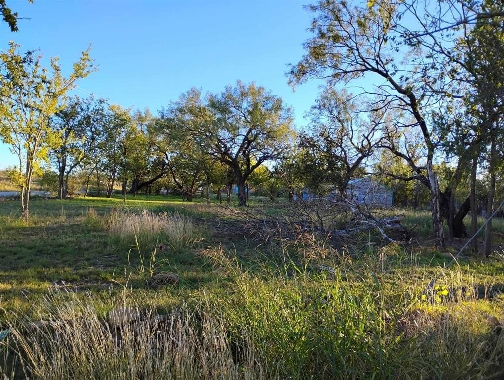 0.54 acres in Coleman County - photo 4
