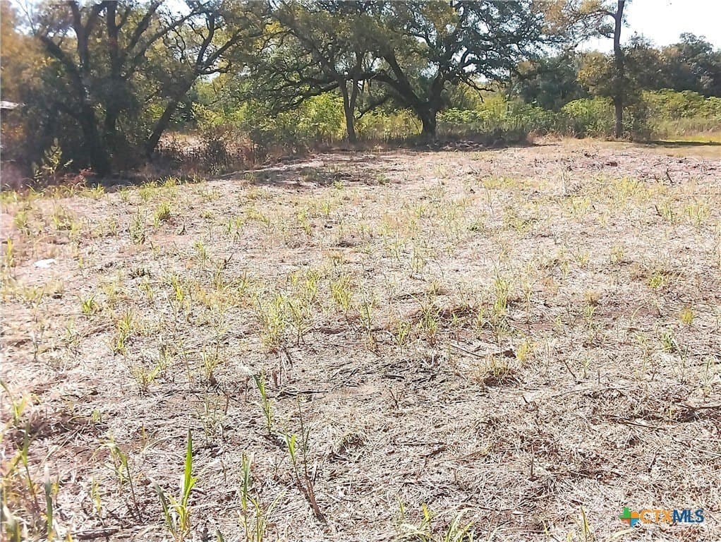 0.27 acres in Gonzales County - photo 3