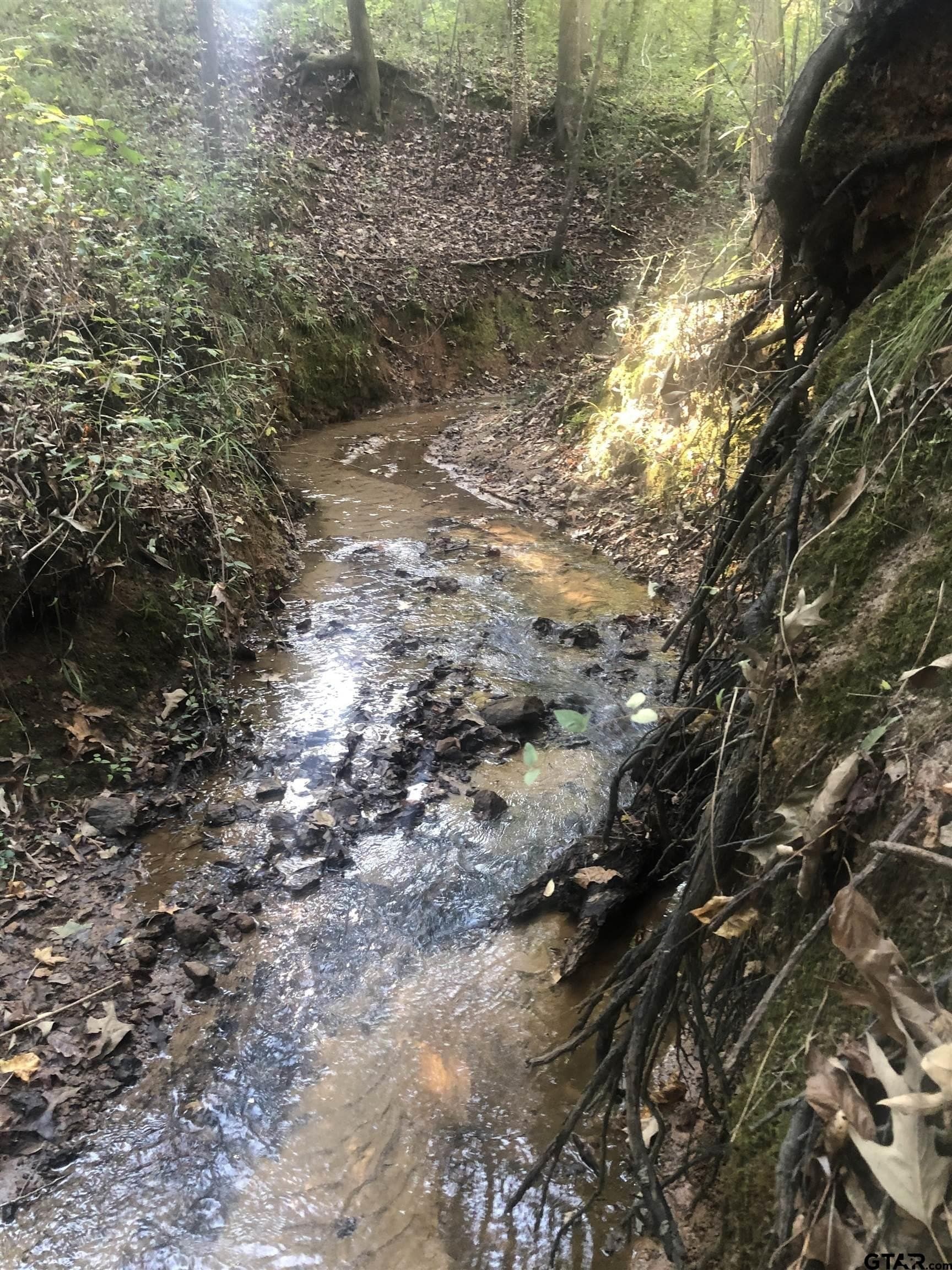 15.04 acres in Smith County - photo 4