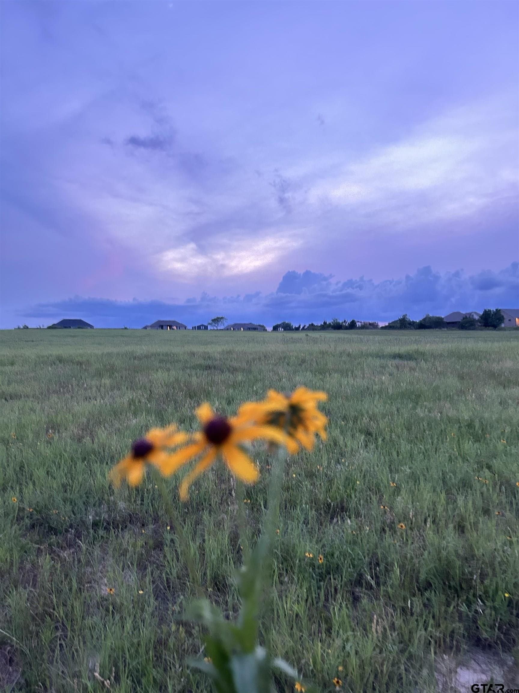 15.04 acres in Smith County - photo 3